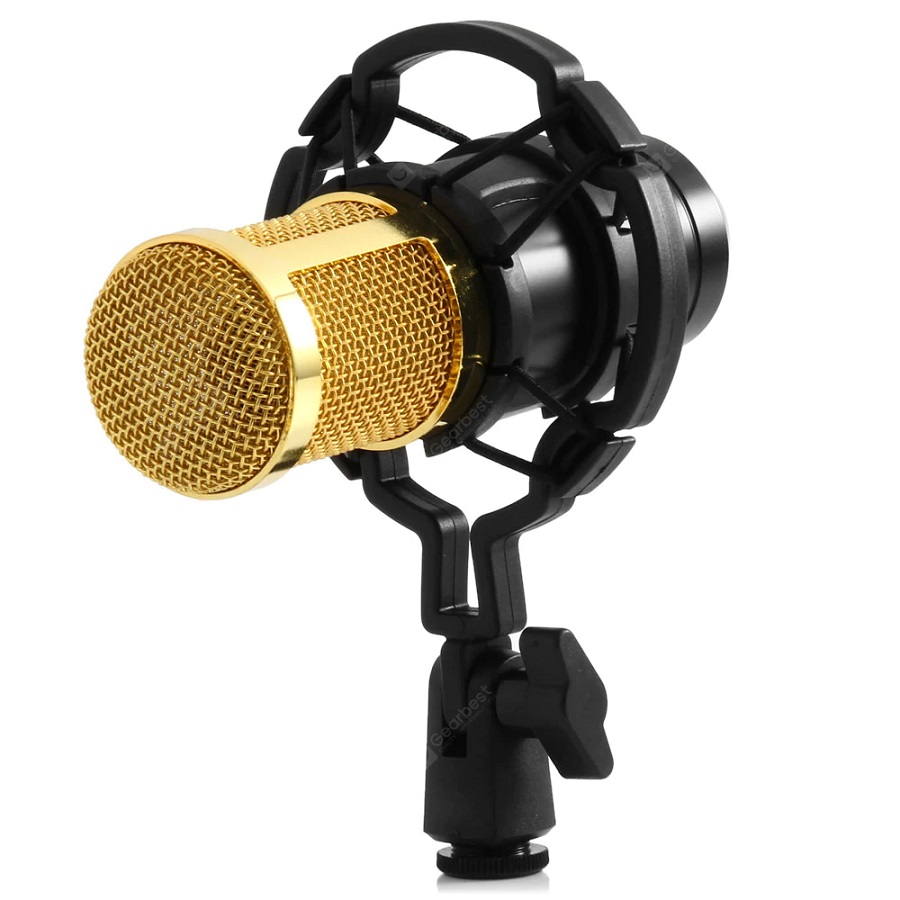 میکروفون استودیویی BM800